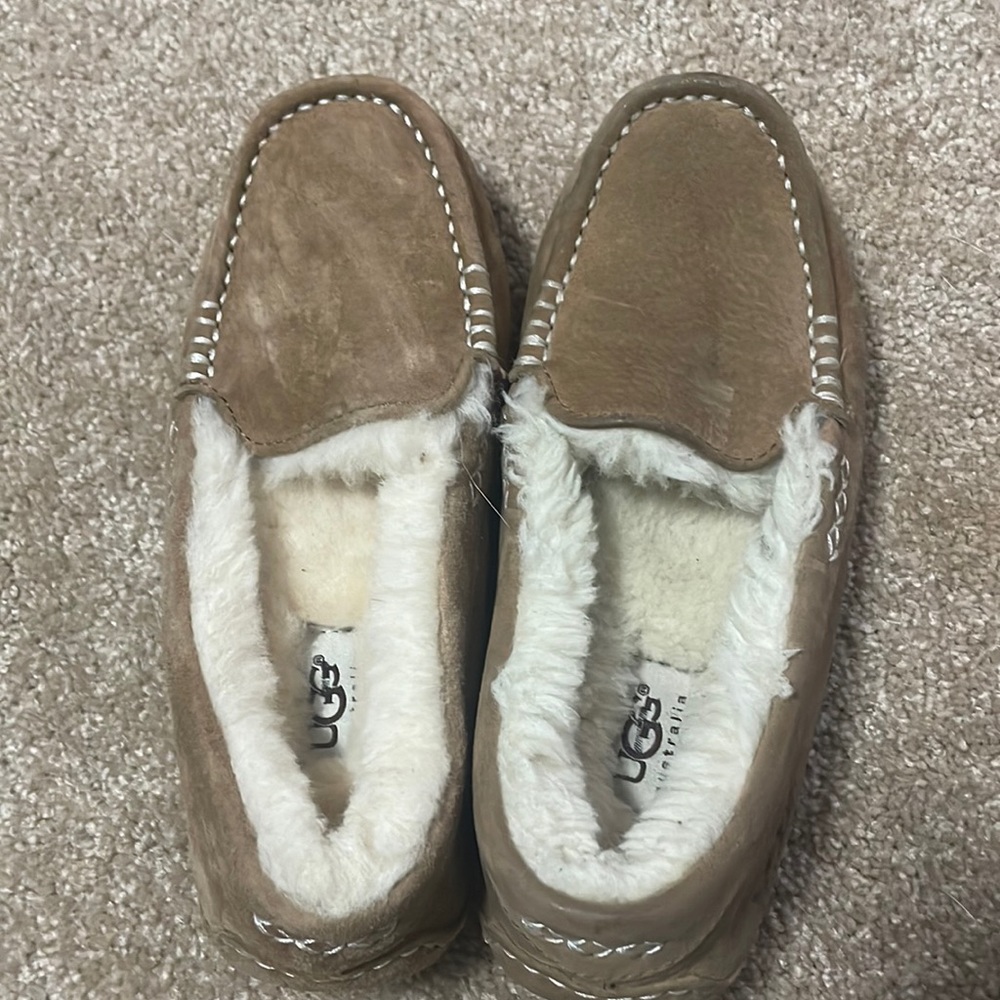 NEVER WORN! Ugg Ansley Chesnut size 5!